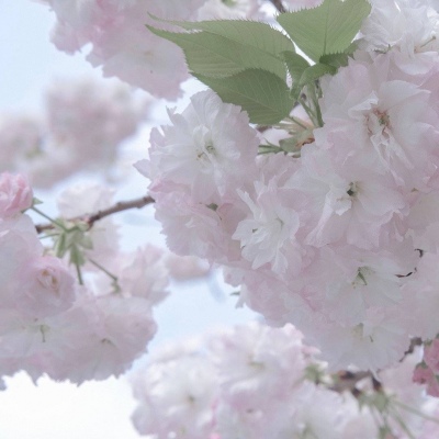 Furry兽设设计实用干货兽圈社群